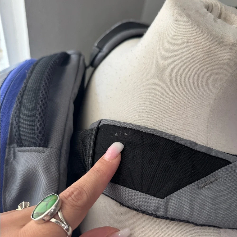 The‎ North Face Gray and Purple Outdoor Backpack Jester